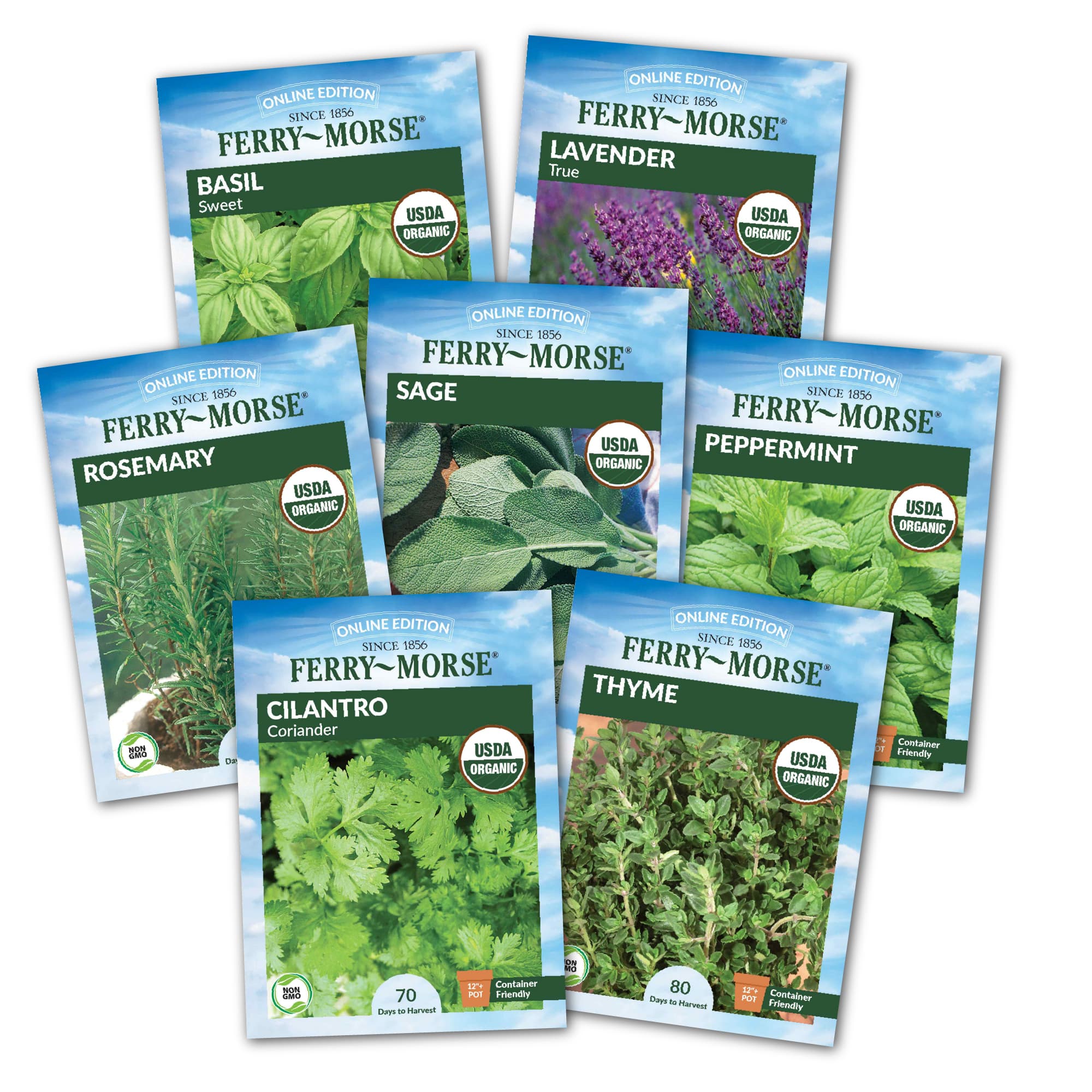 A variety of herb seed packets including Basil, Lavender, Rosemary, Cilantro, and Thyme from Ferry-Morse.